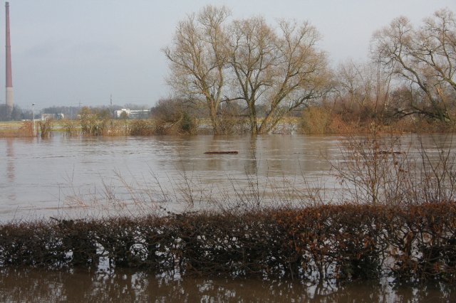 Hochwasser Seligenstadt 18.01.2011 008.JPG